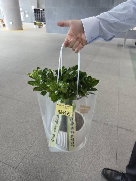 업로드 이미지