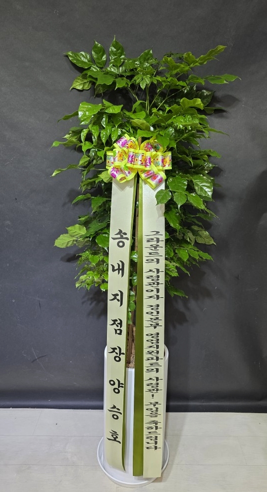 업로드 이미지