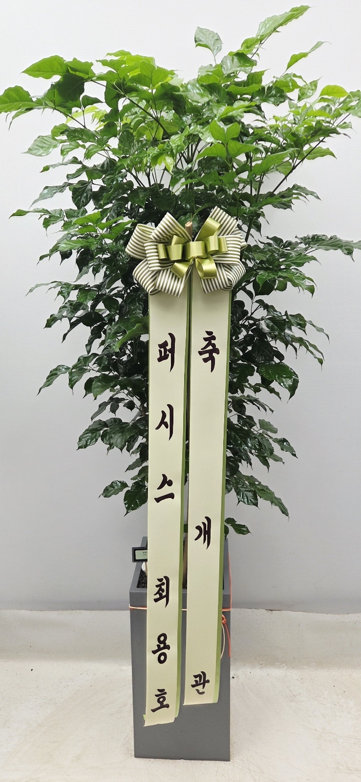 업로드 이미지