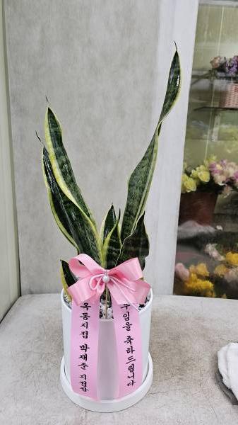 업로드 이미지