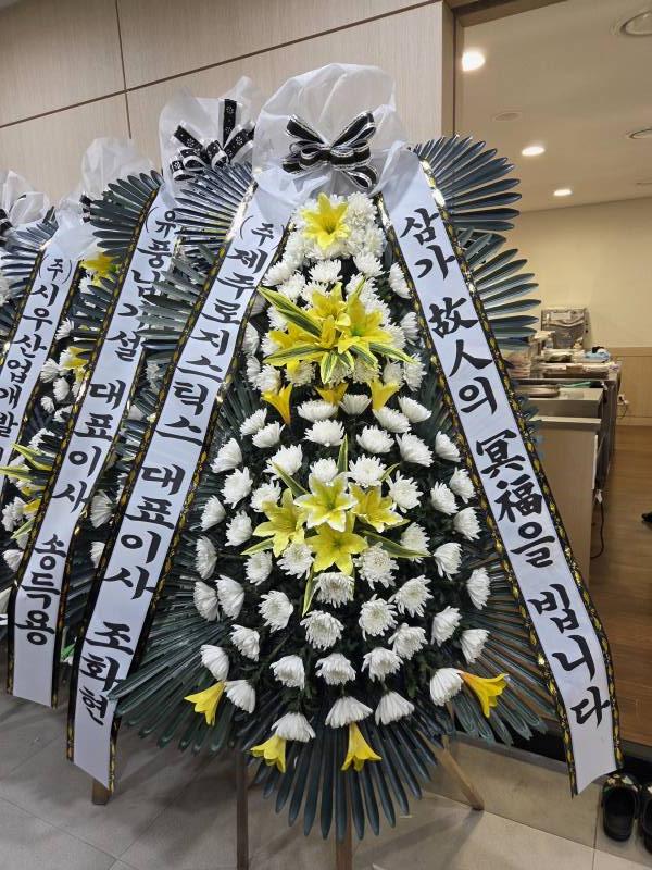 업로드 이미지