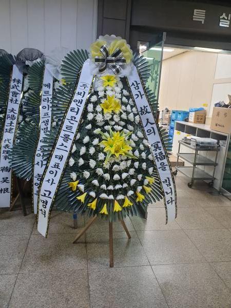 업로드 이미지