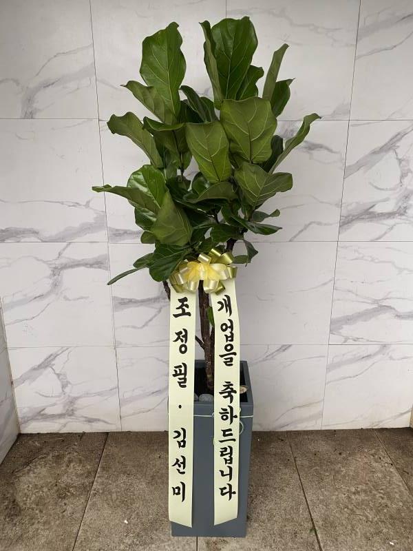 업로드 이미지