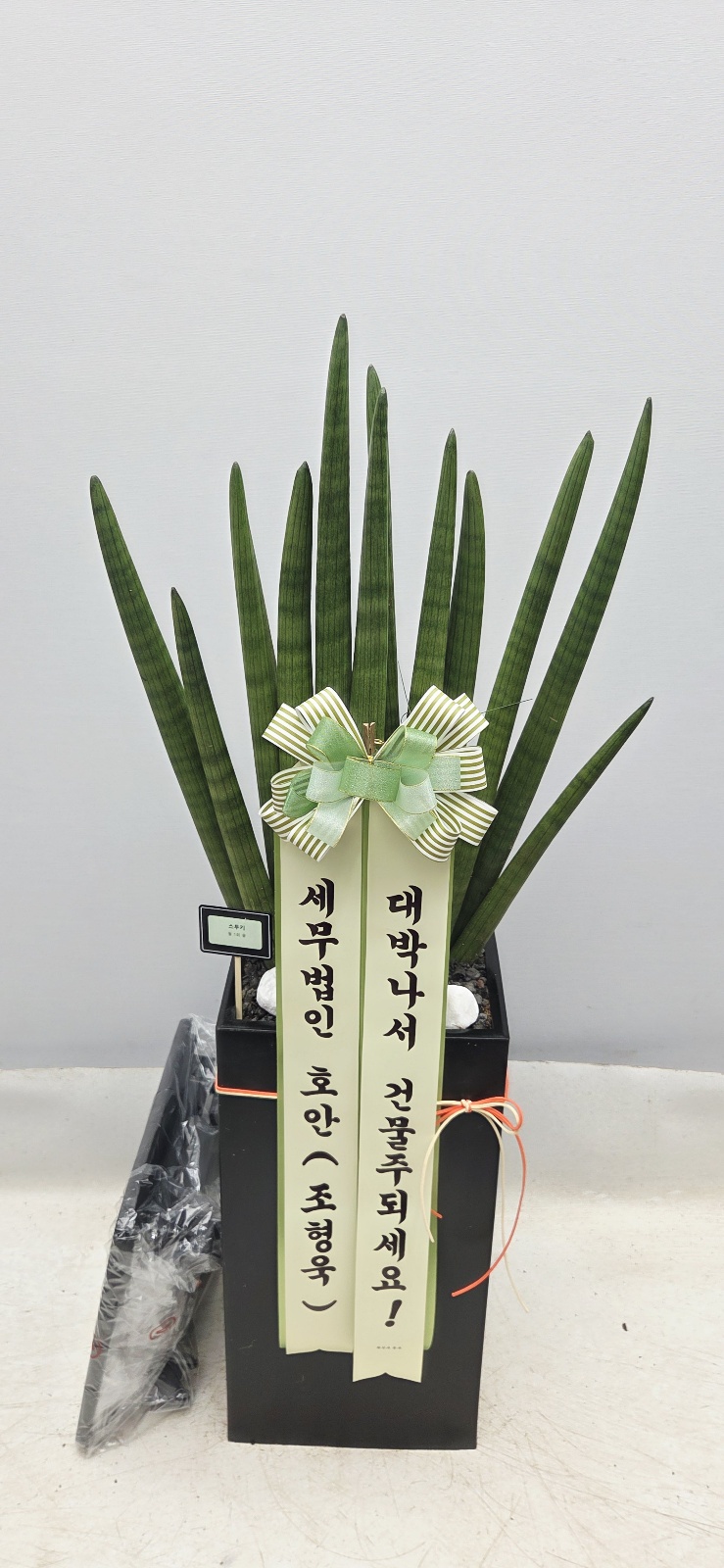 업로드 이미지