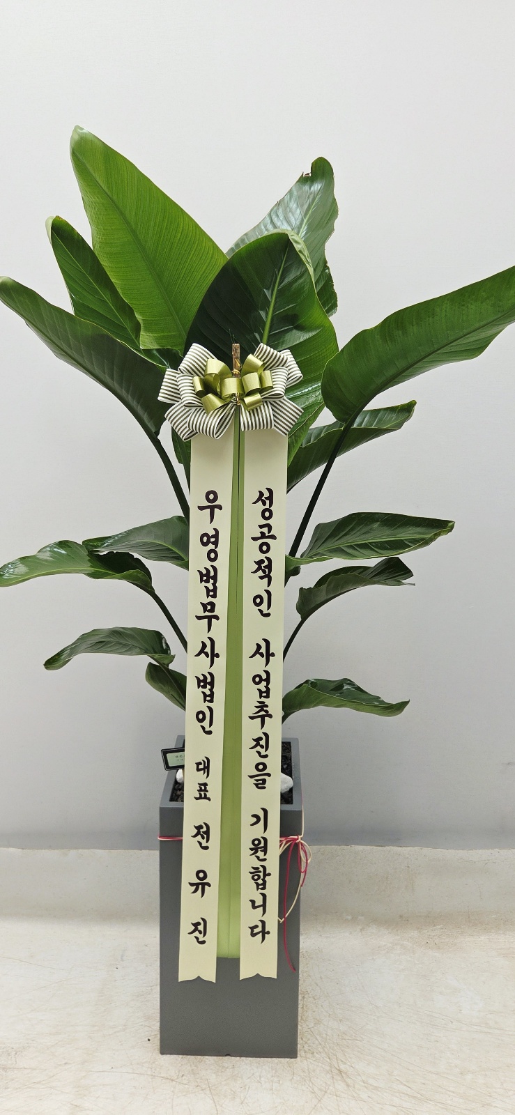 업로드 이미지