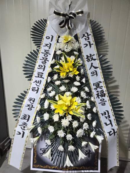 업로드 이미지