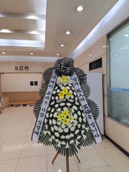 업로드 이미지