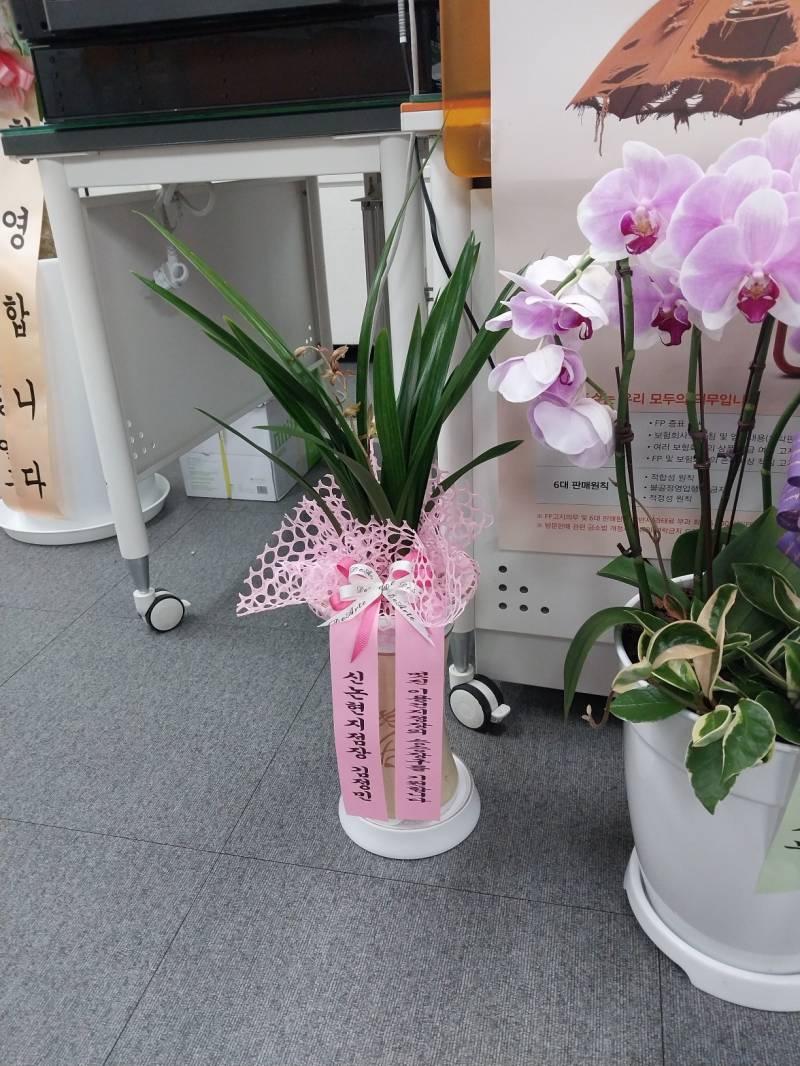 업로드 이미지