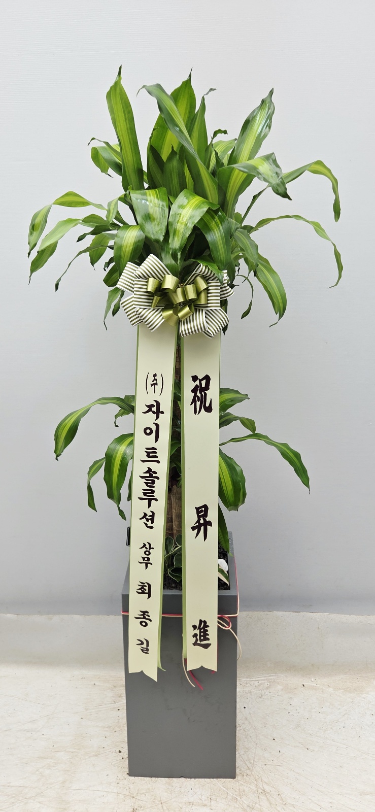 업로드 이미지