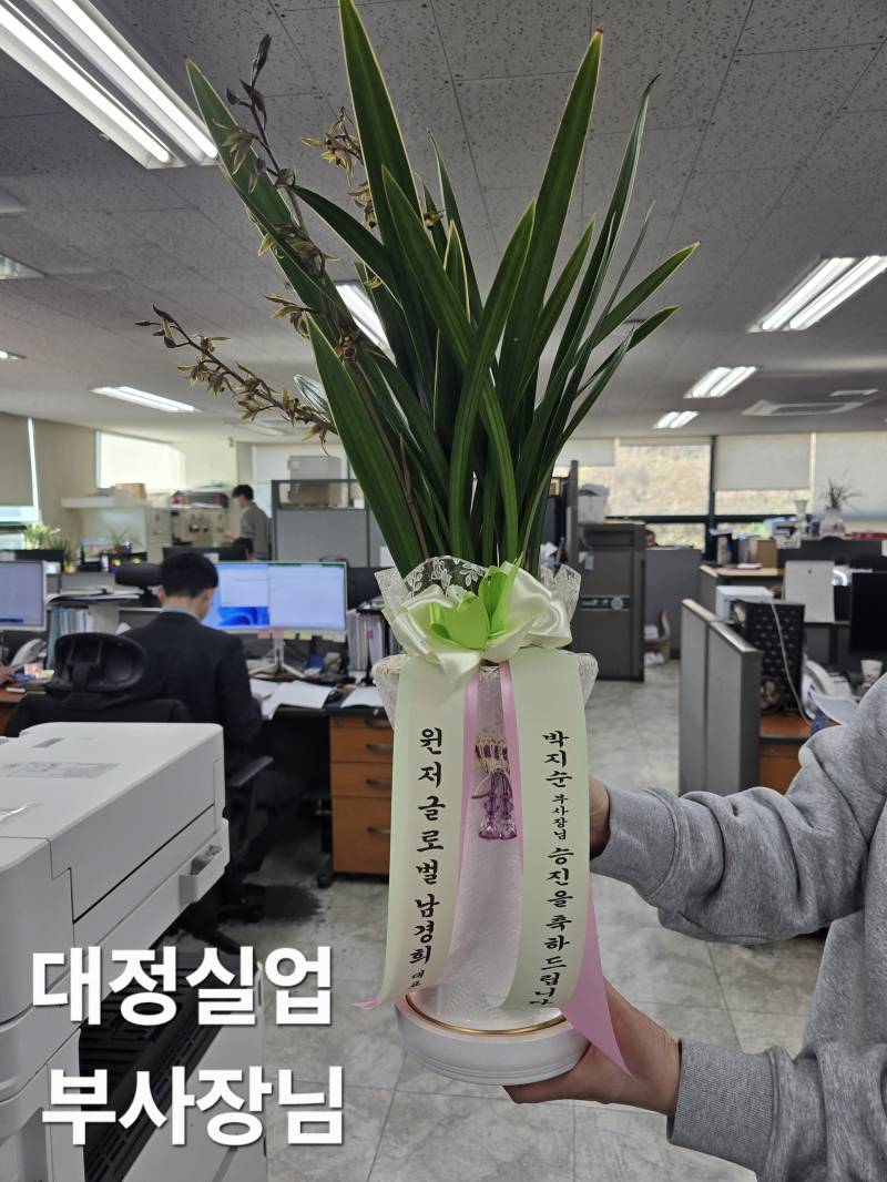 업로드 이미지