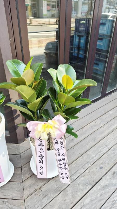 업로드 이미지