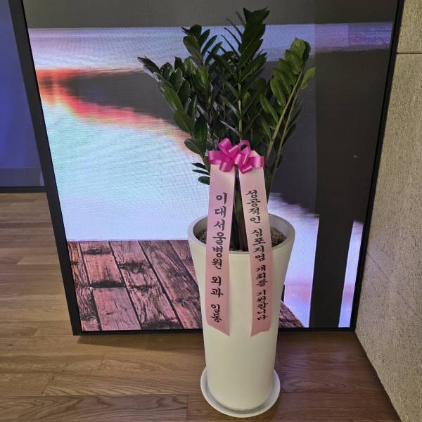 업로드 이미지