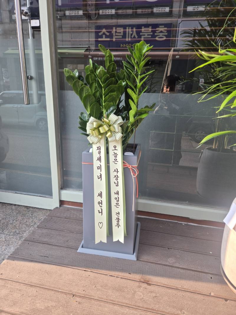 업로드 이미지