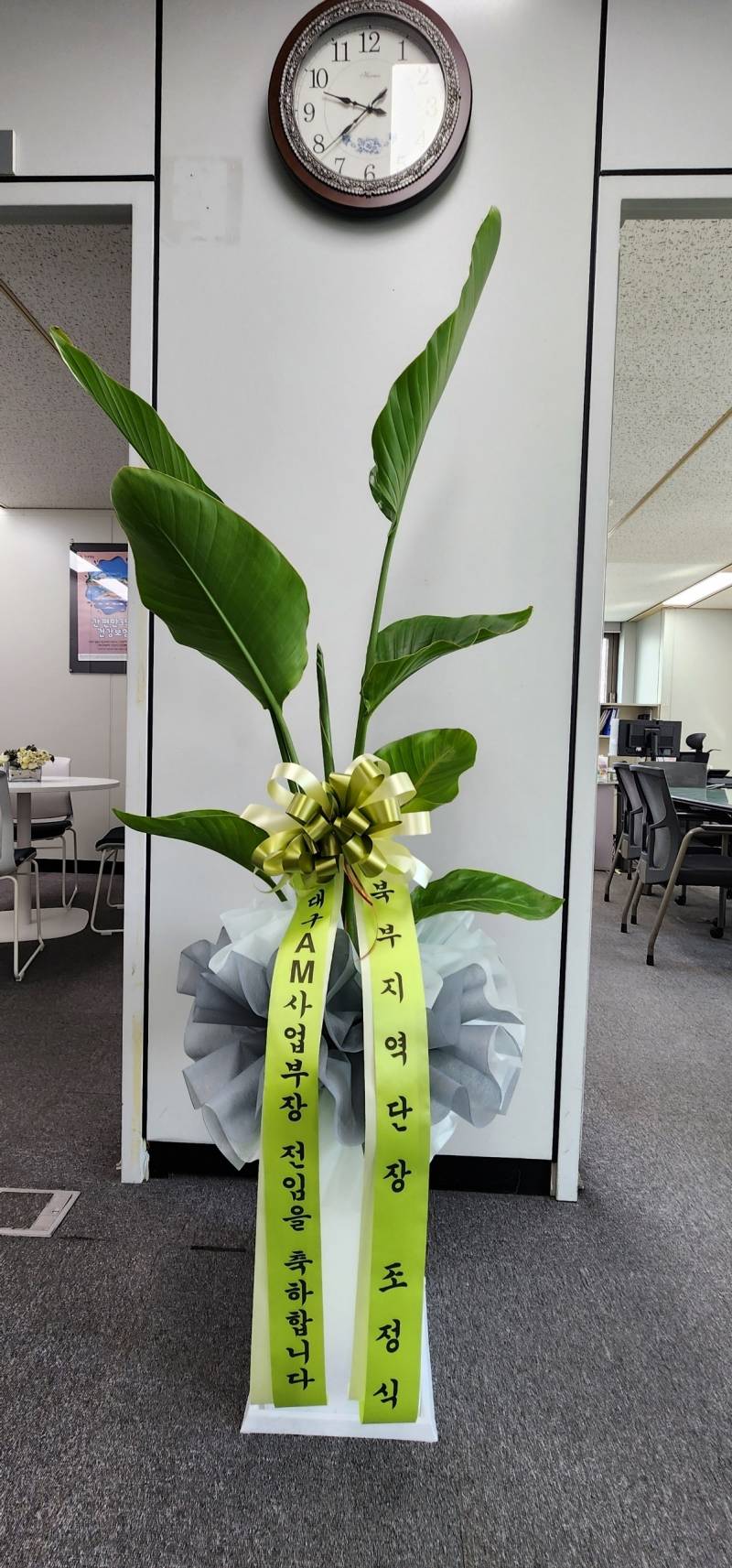 업로드 이미지