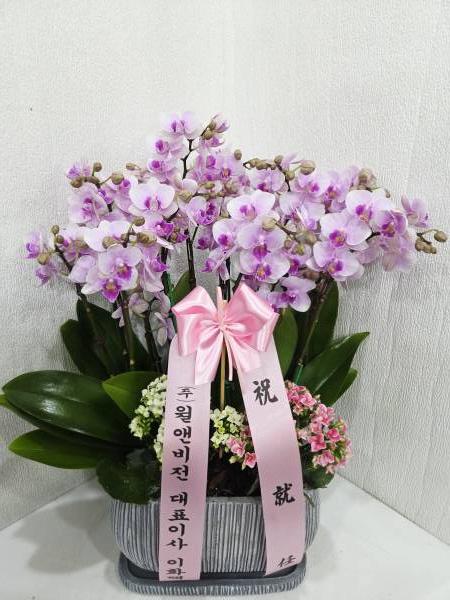 업로드 이미지