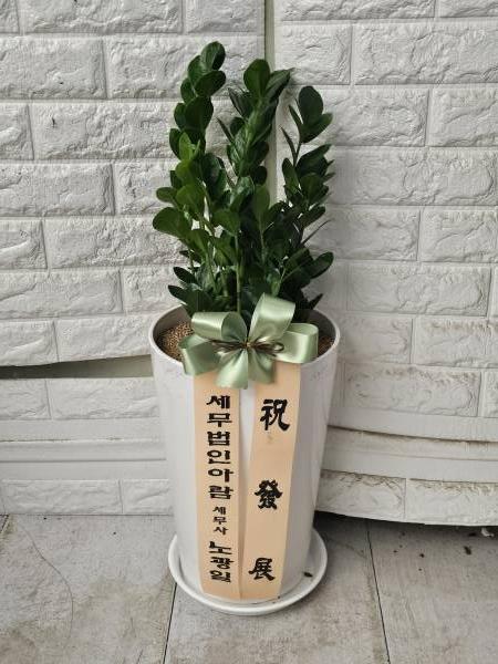 업로드 이미지