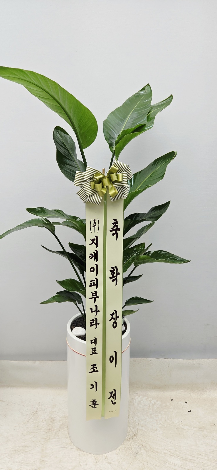 업로드 이미지
