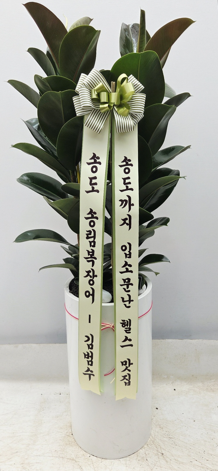 업로드 이미지