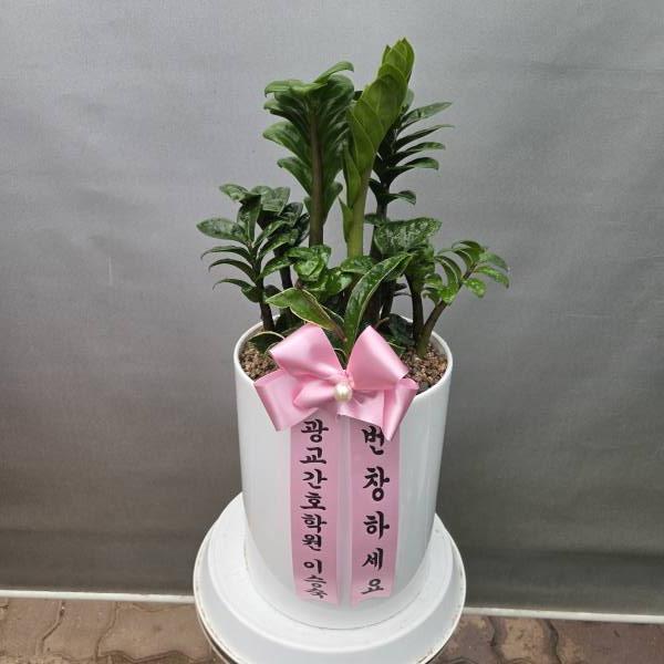 업로드 이미지