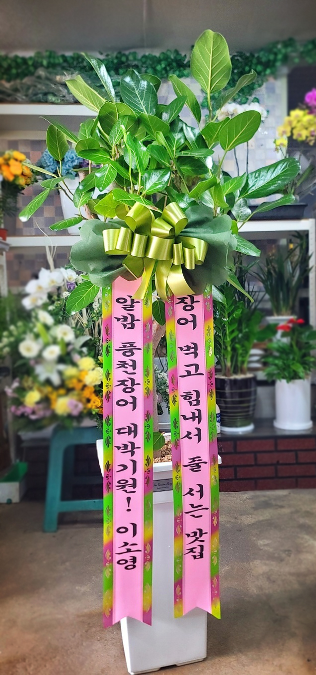 배송사진