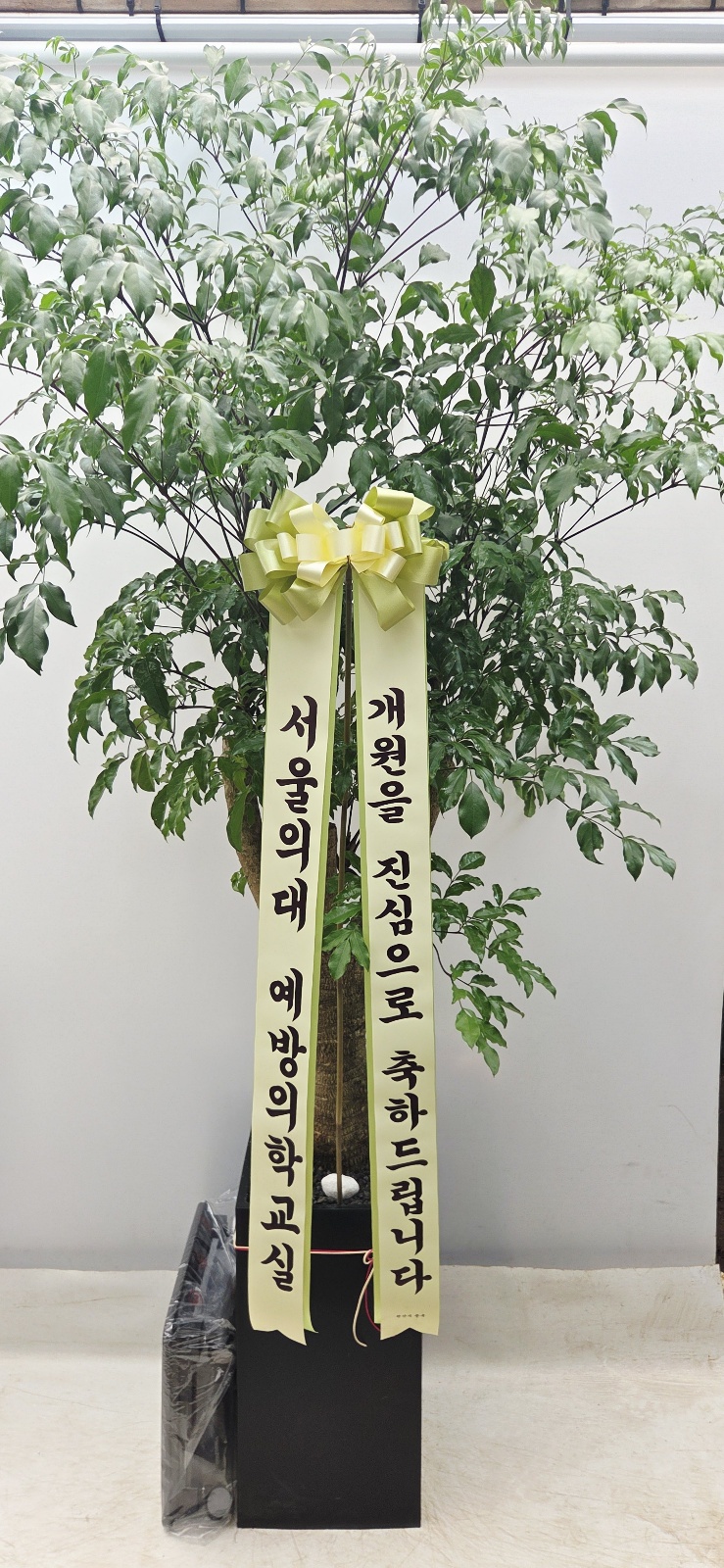 업로드 이미지