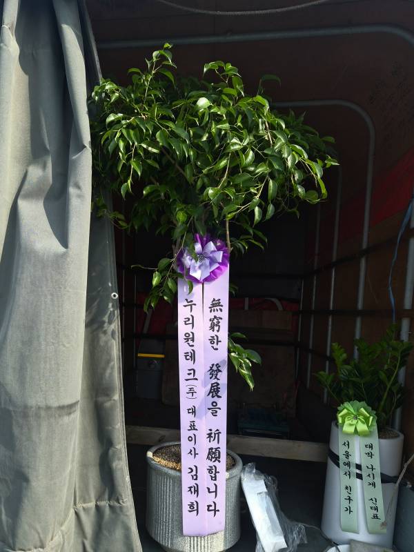 업로드 이미지