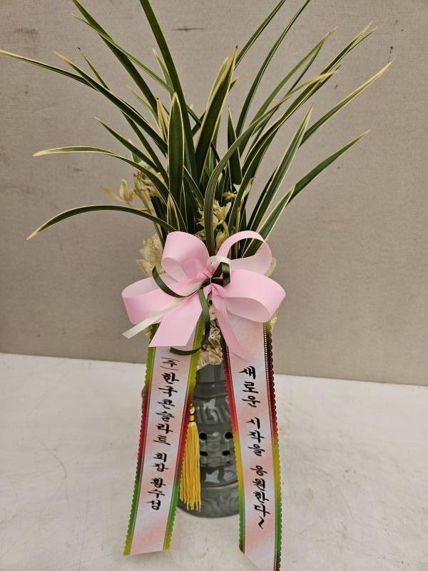업로드 이미지