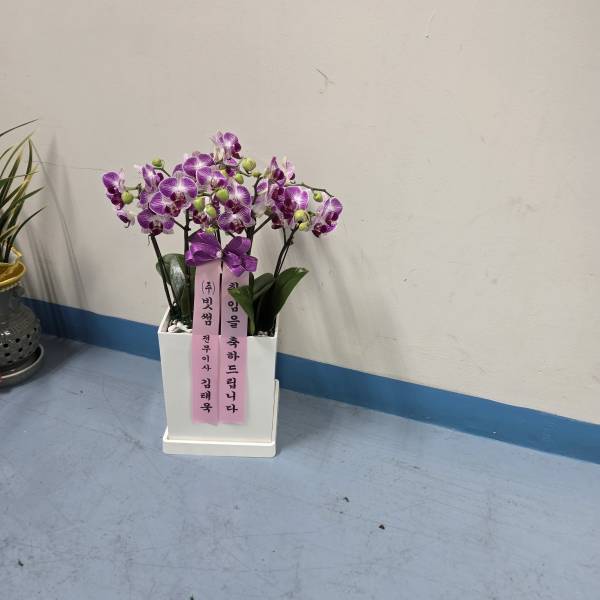 업로드 이미지