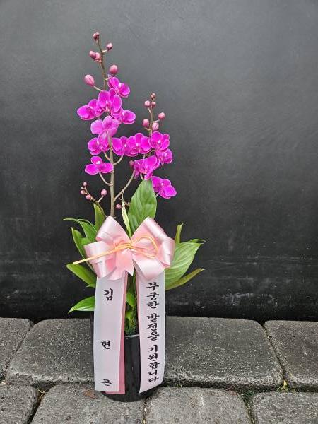 업로드 이미지