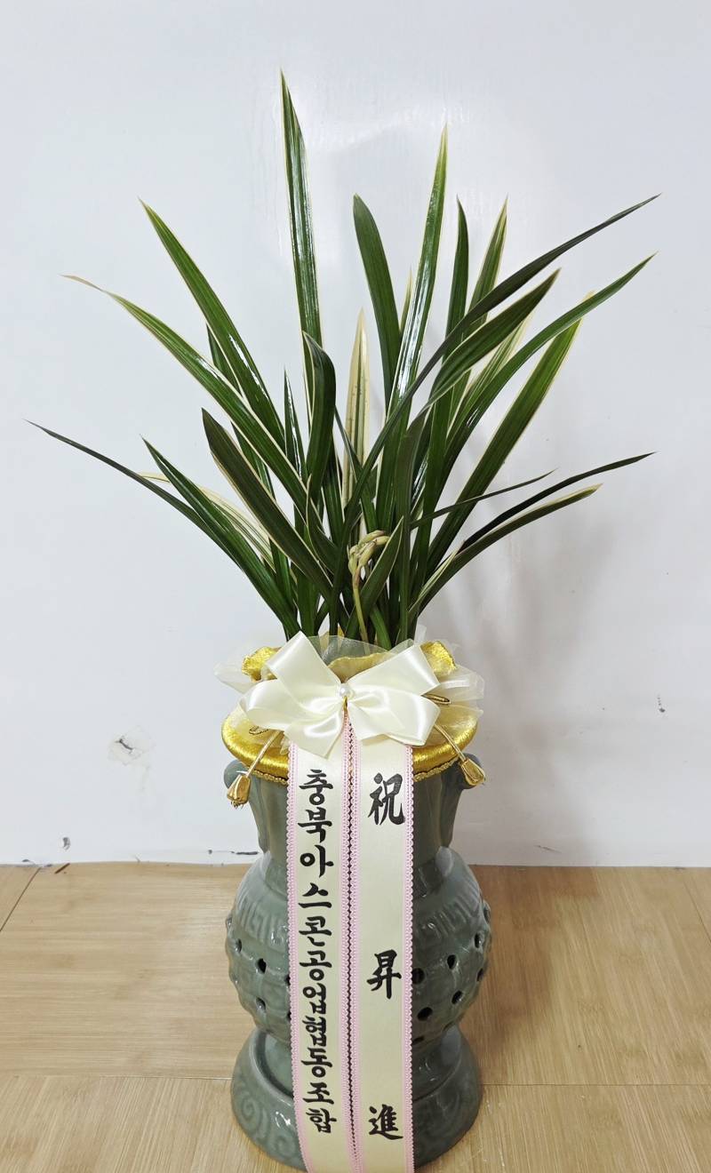 업로드 이미지