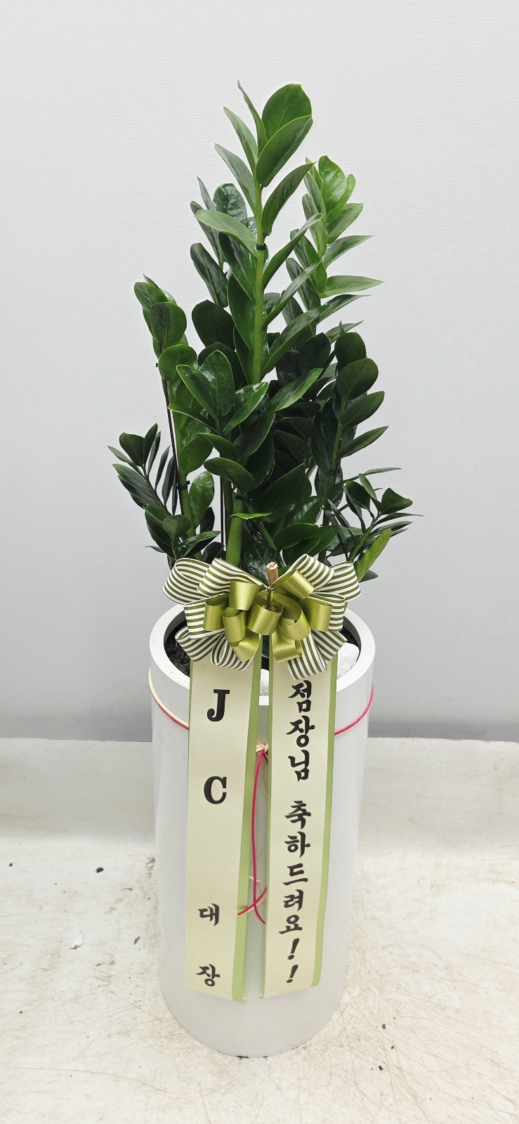 업로드 이미지