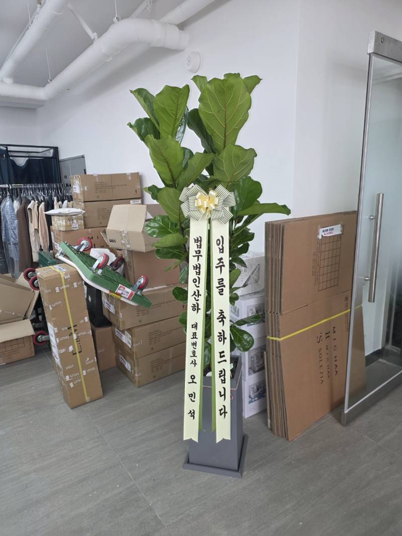 업로드 이미지