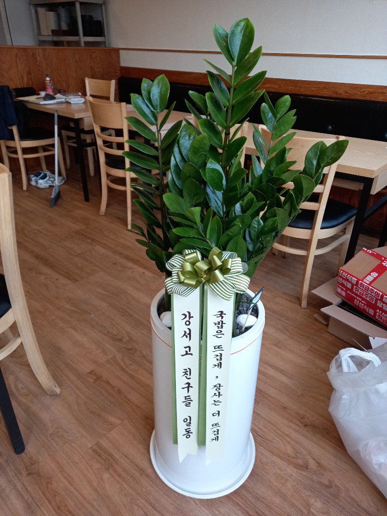 업로드 이미지