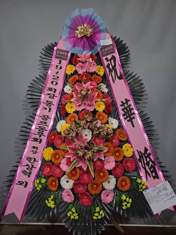 업로드 이미지