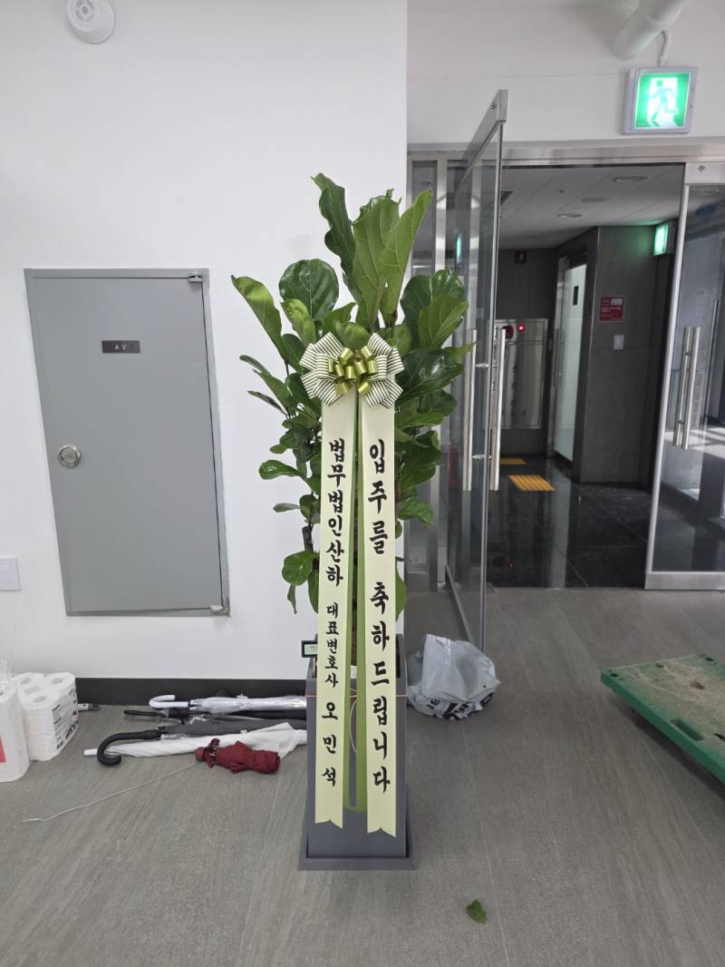 업로드 이미지