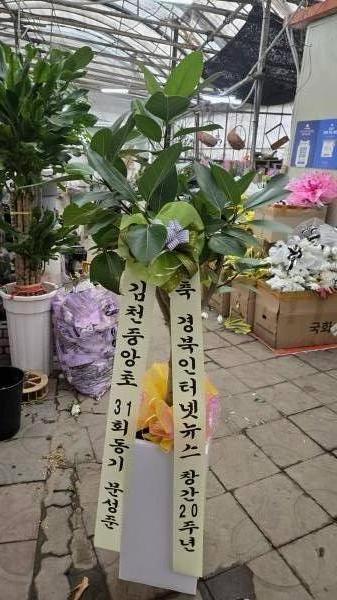 업로드 이미지