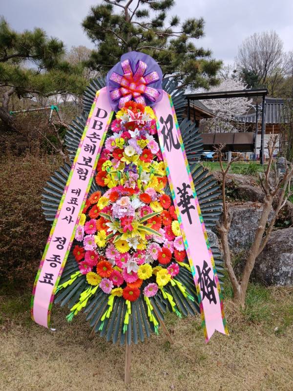 업로드 이미지