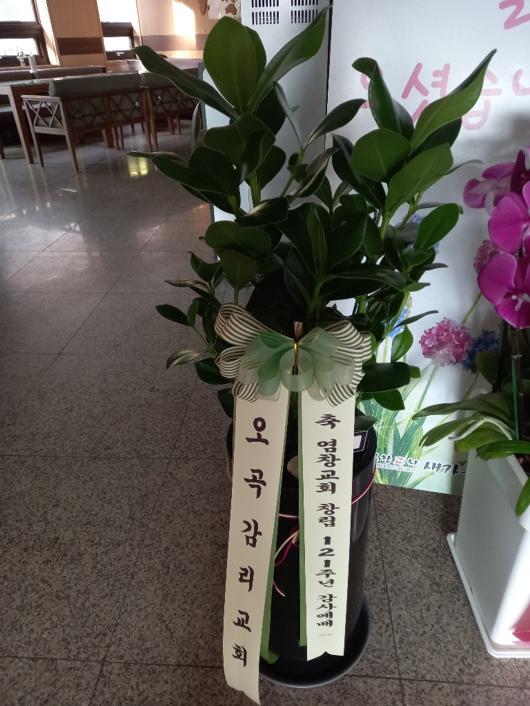 업로드 이미지