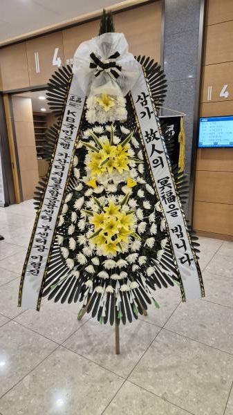 업로드 이미지