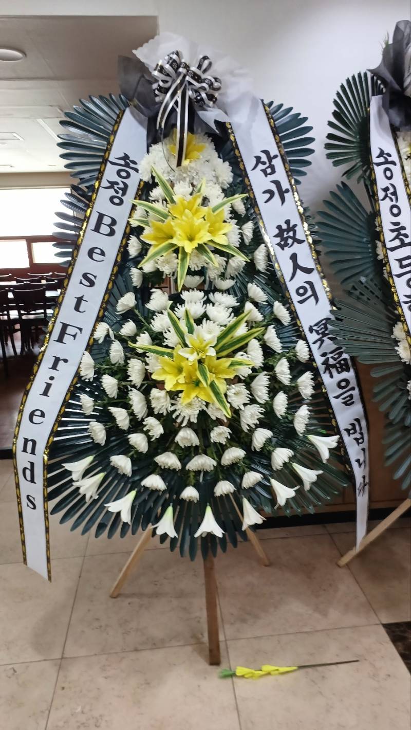 업로드 이미지