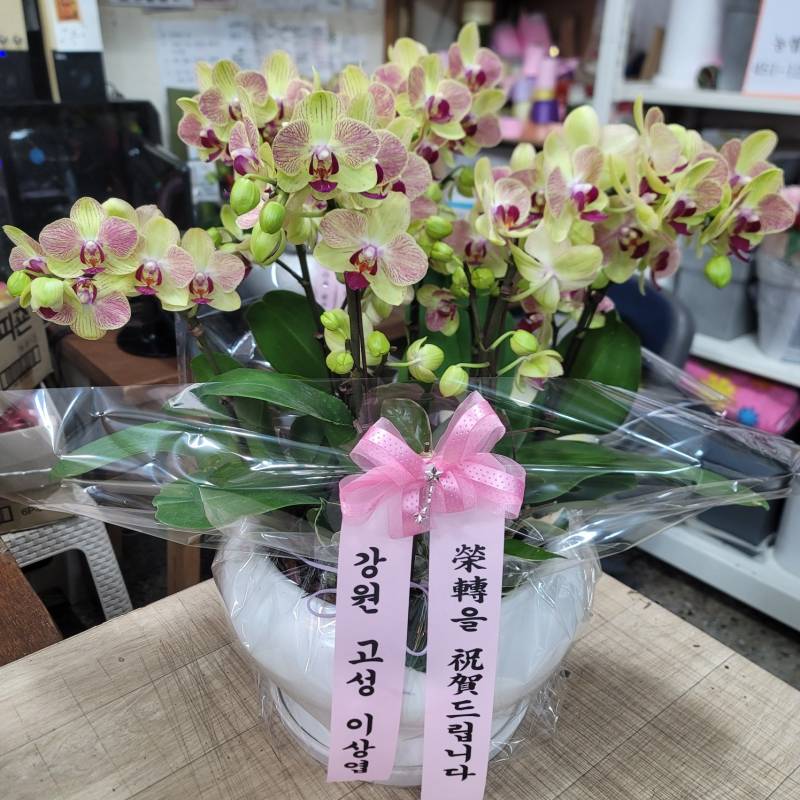 업로드 이미지