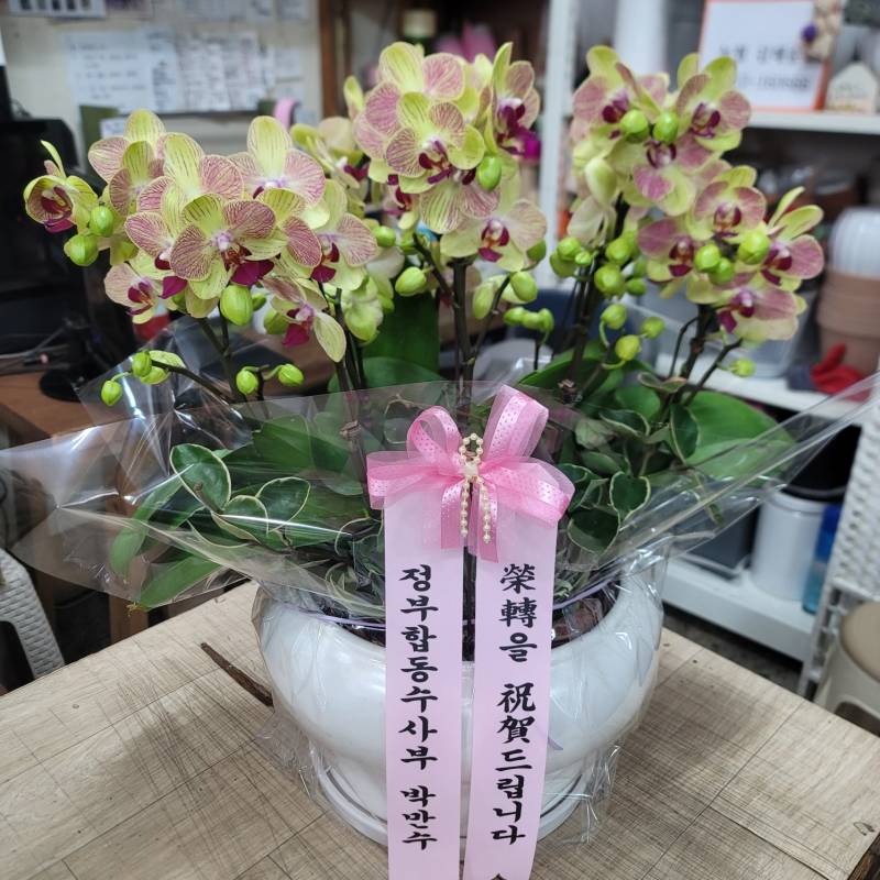 업로드 이미지