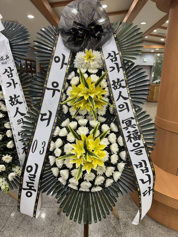 업로드 이미지