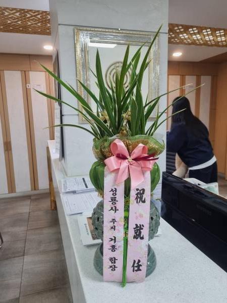 업로드 이미지