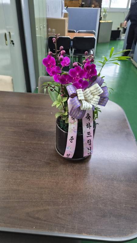 업로드 이미지