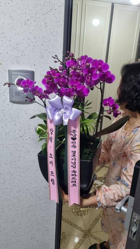 업로드 이미지