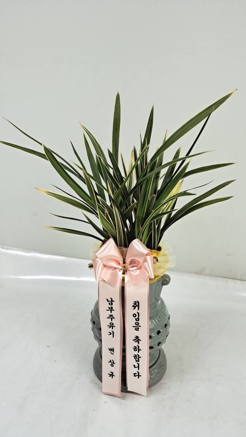 업로드 이미지