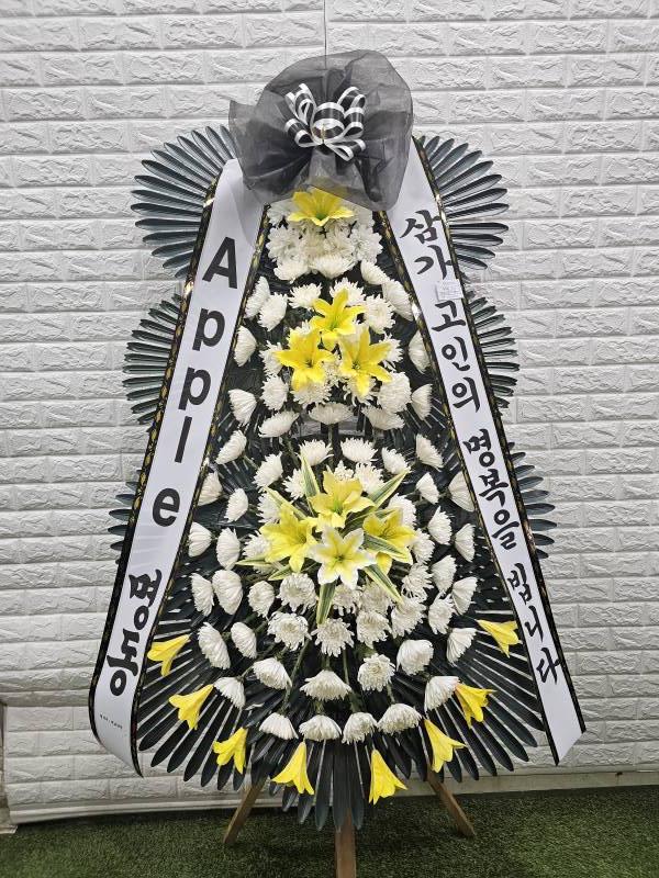 업로드 이미지