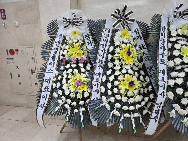 업로드 이미지