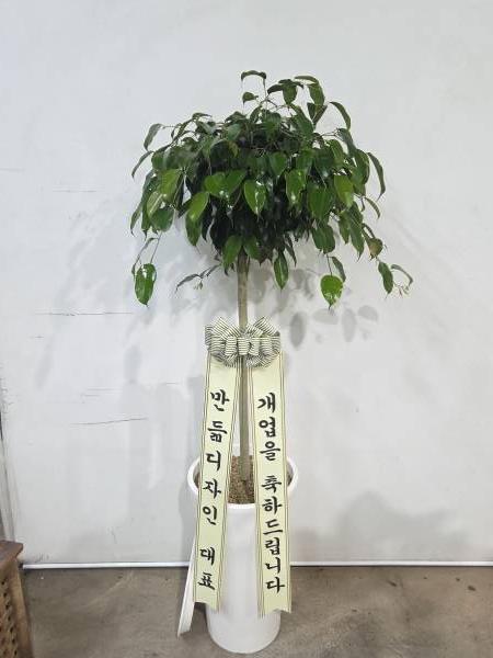 업로드 이미지